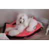 corbeille pour chien façon canapé coussin rose  lavable en machine