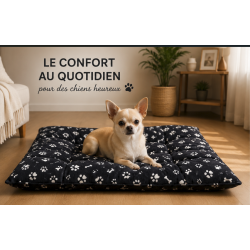 chien chihuahua sur un tapis noir douillet