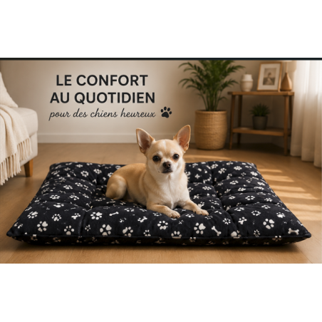 chien chihuahua sur un tapis noir douillet
