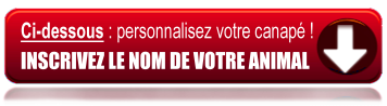 BOUTON%20PERSONNALISATION.png