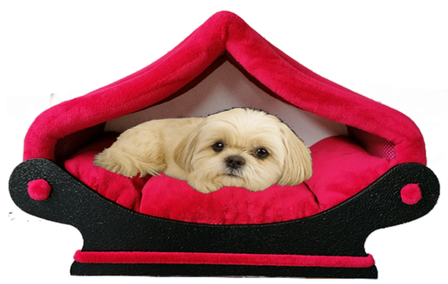 chien bichon qui dort  dans un dôme -niche rouge