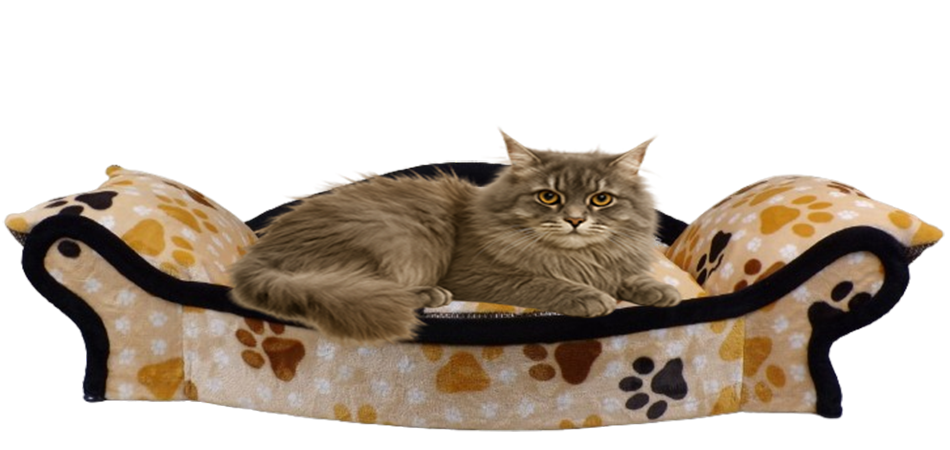 chat dans un panier arrondi réalisé en tissu polaire